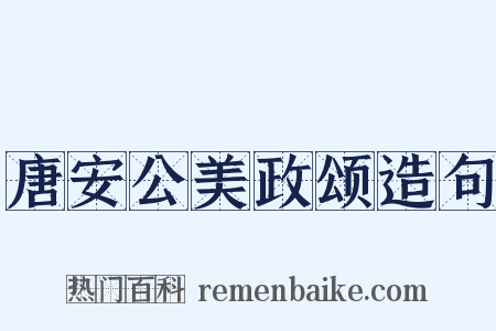 唐安公美政颂造句是什么意思的图片